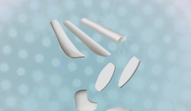 surgiform implant